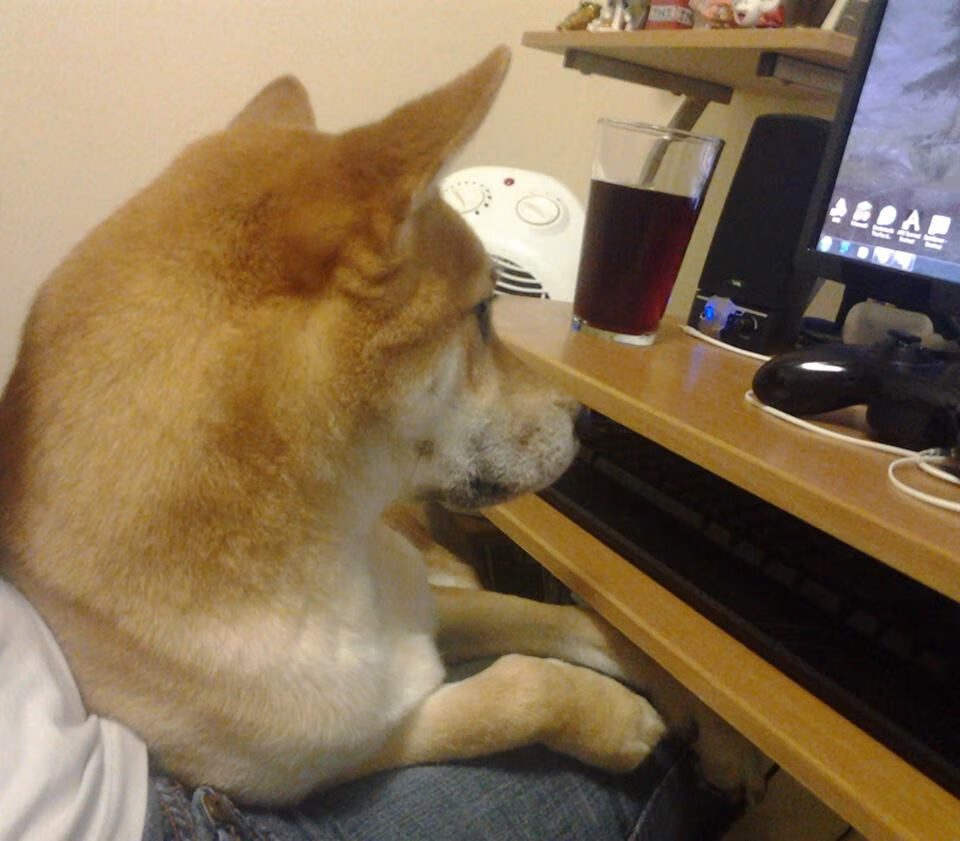 2026世界杯焦点战前瞻，厄瓜多尔如何打穿多特蒙德式体系？