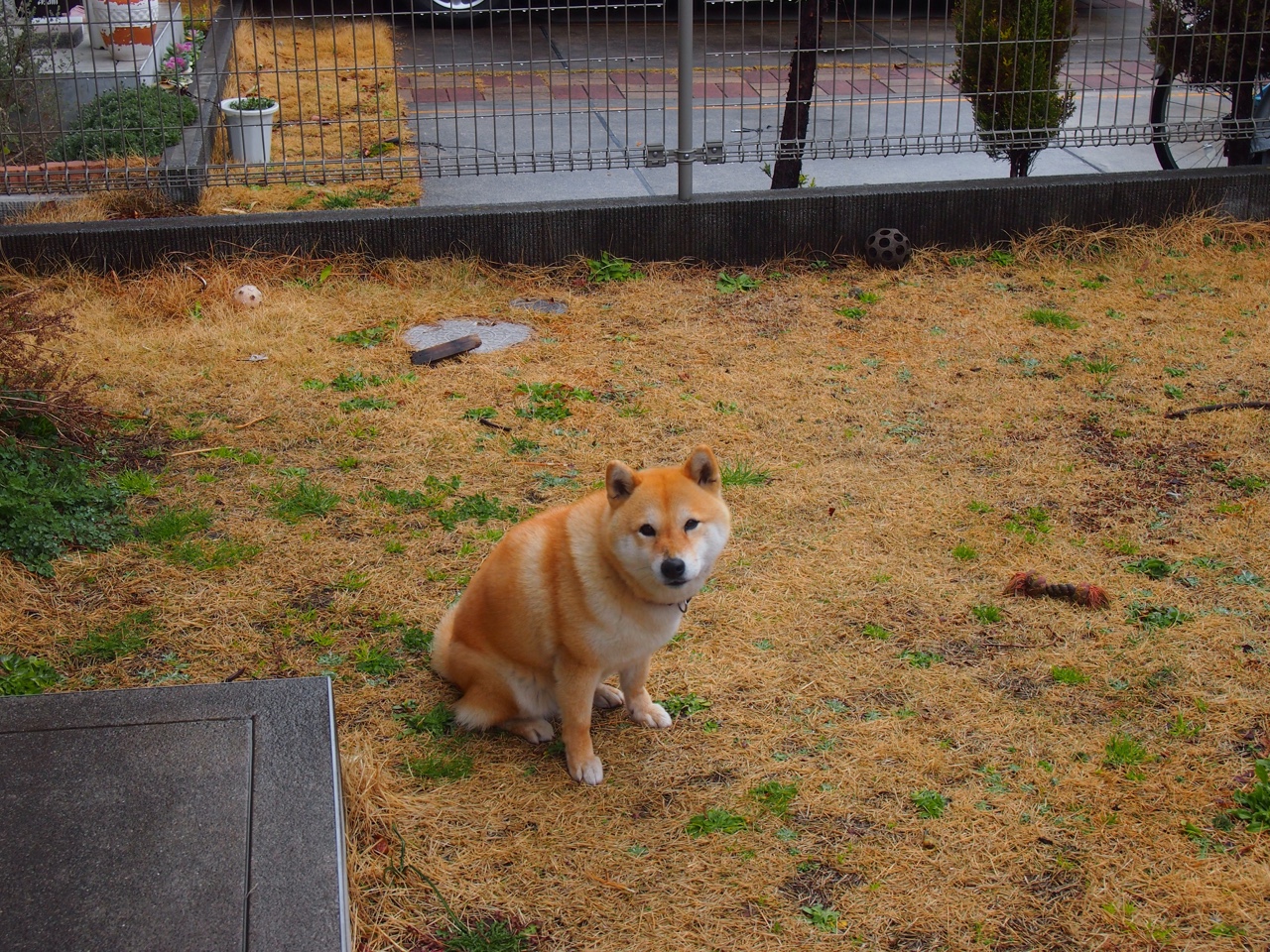 横扫的余温与爆发的火焰,爱德华兹在年度焦点战中的王者宣言