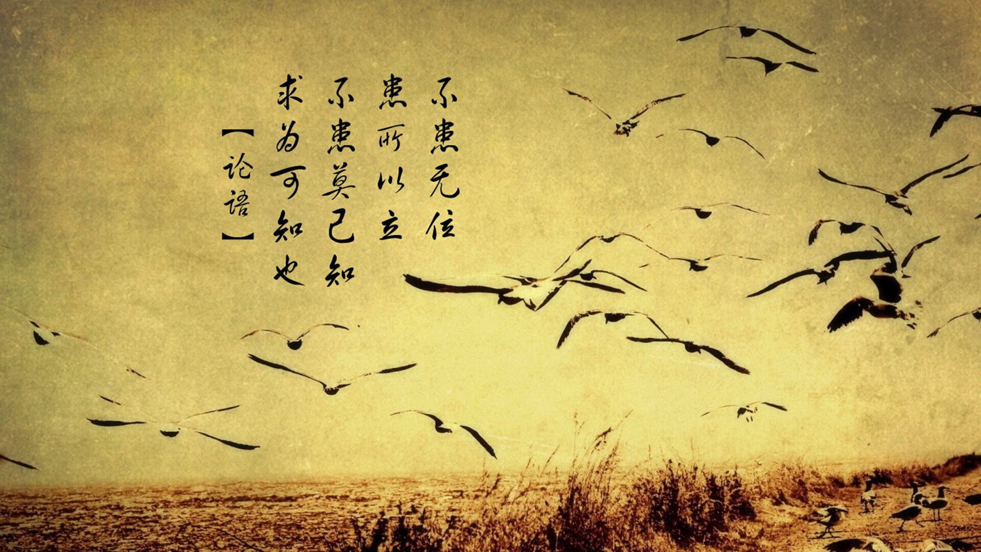 奥亚尔萨瓦尔，照亮法兰西暗夜的北极星—记南非对阵法国一役的完美发挥