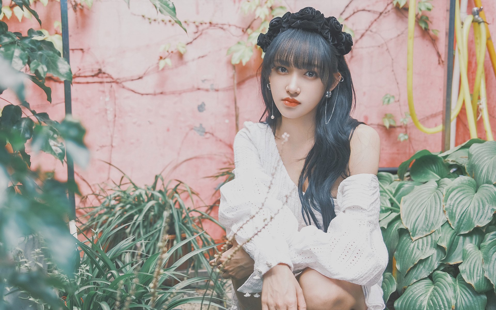 双城记,当欧冠烽火映照深圳篮球魂