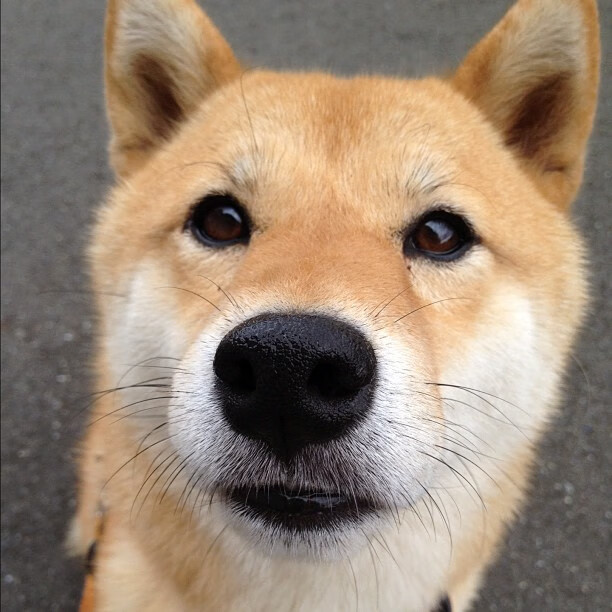 双城记,诺坎普奇迹与诸暨的蜂鸣