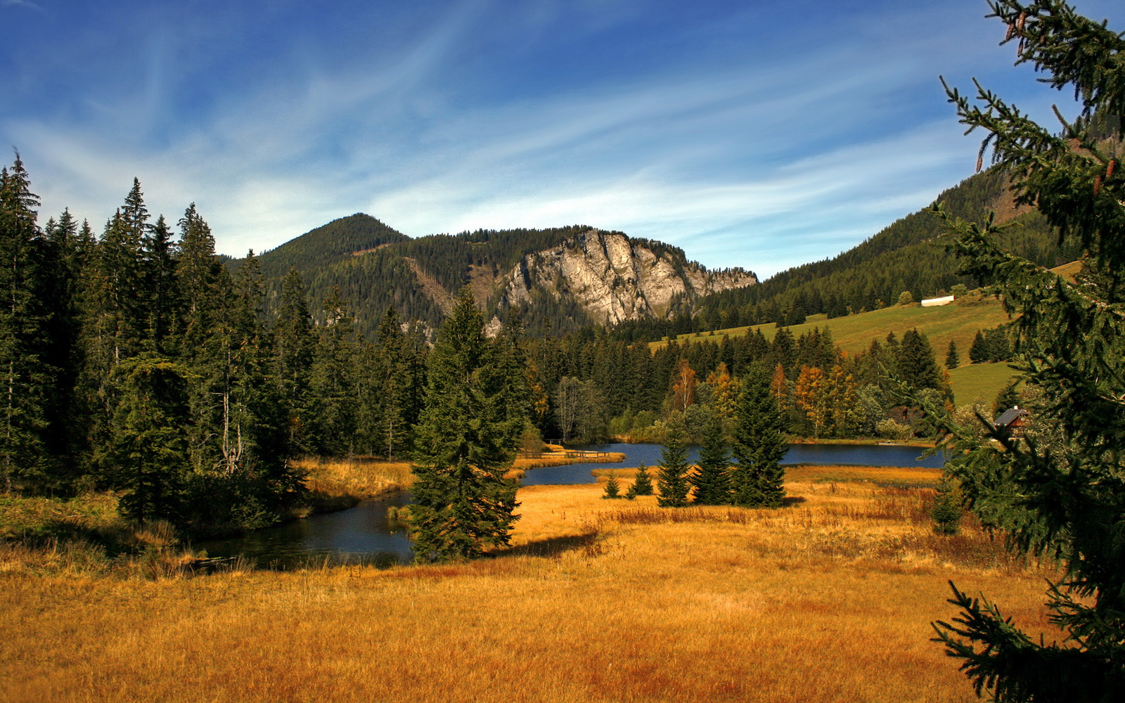 加纳终结马德里竞技！莱奥上演绝杀，非洲新王登基欧洲之巅？