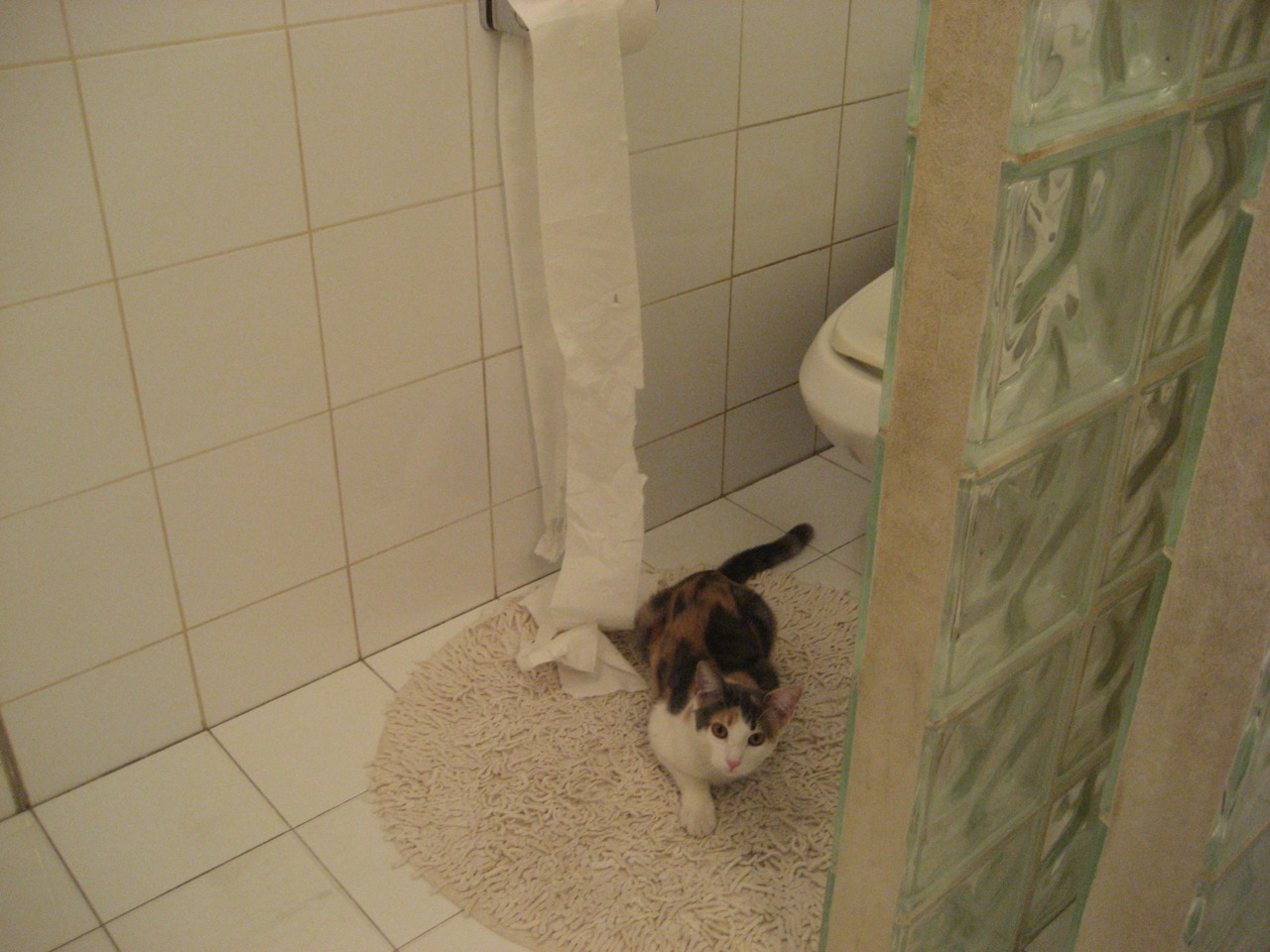 双线狂飙，荷兰足球的团队凯歌与格纳布里的速度王权—体育世界里的接管艺术