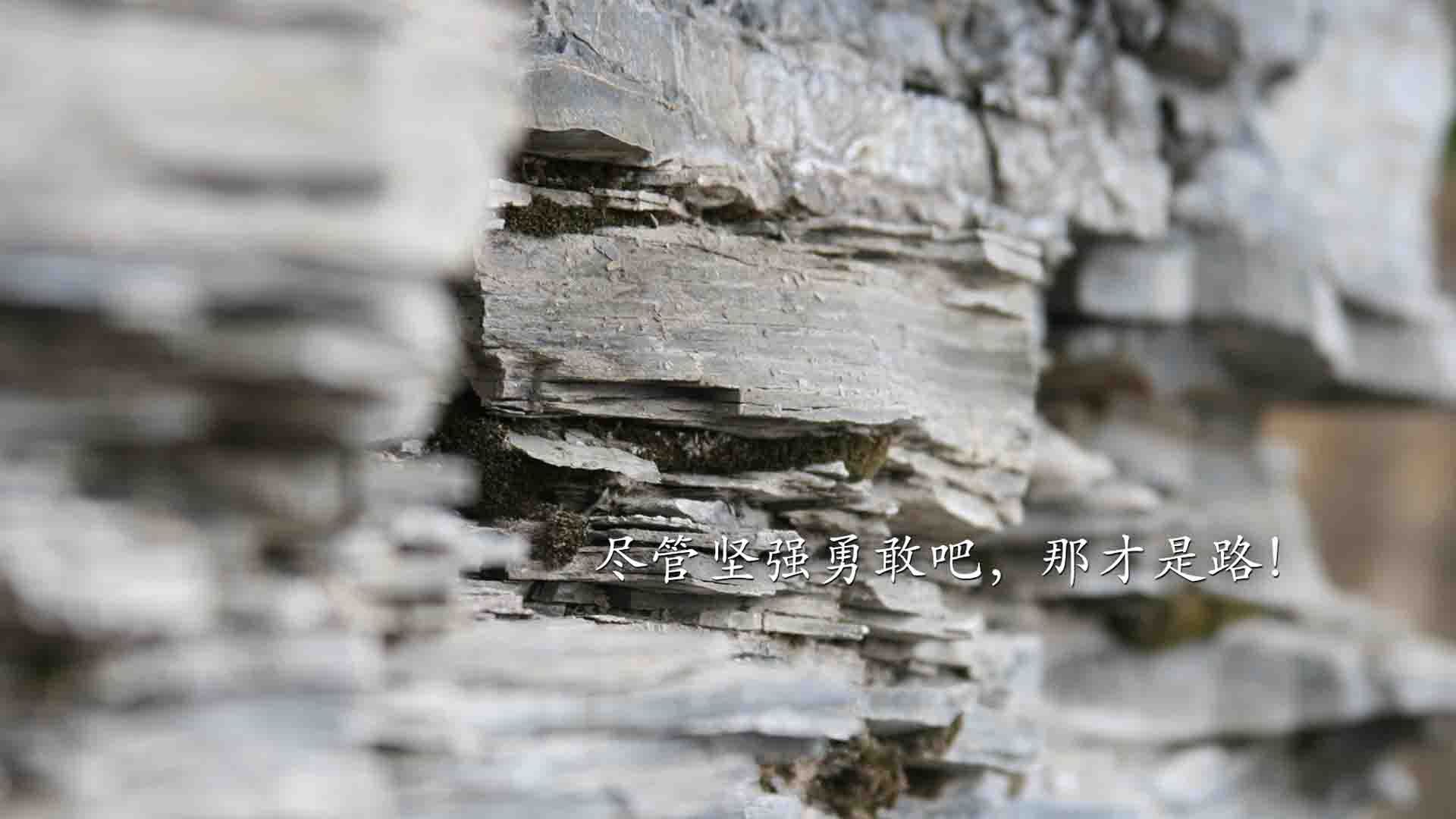 莱万屠城！洪都拉斯防线被他撕成一张破网