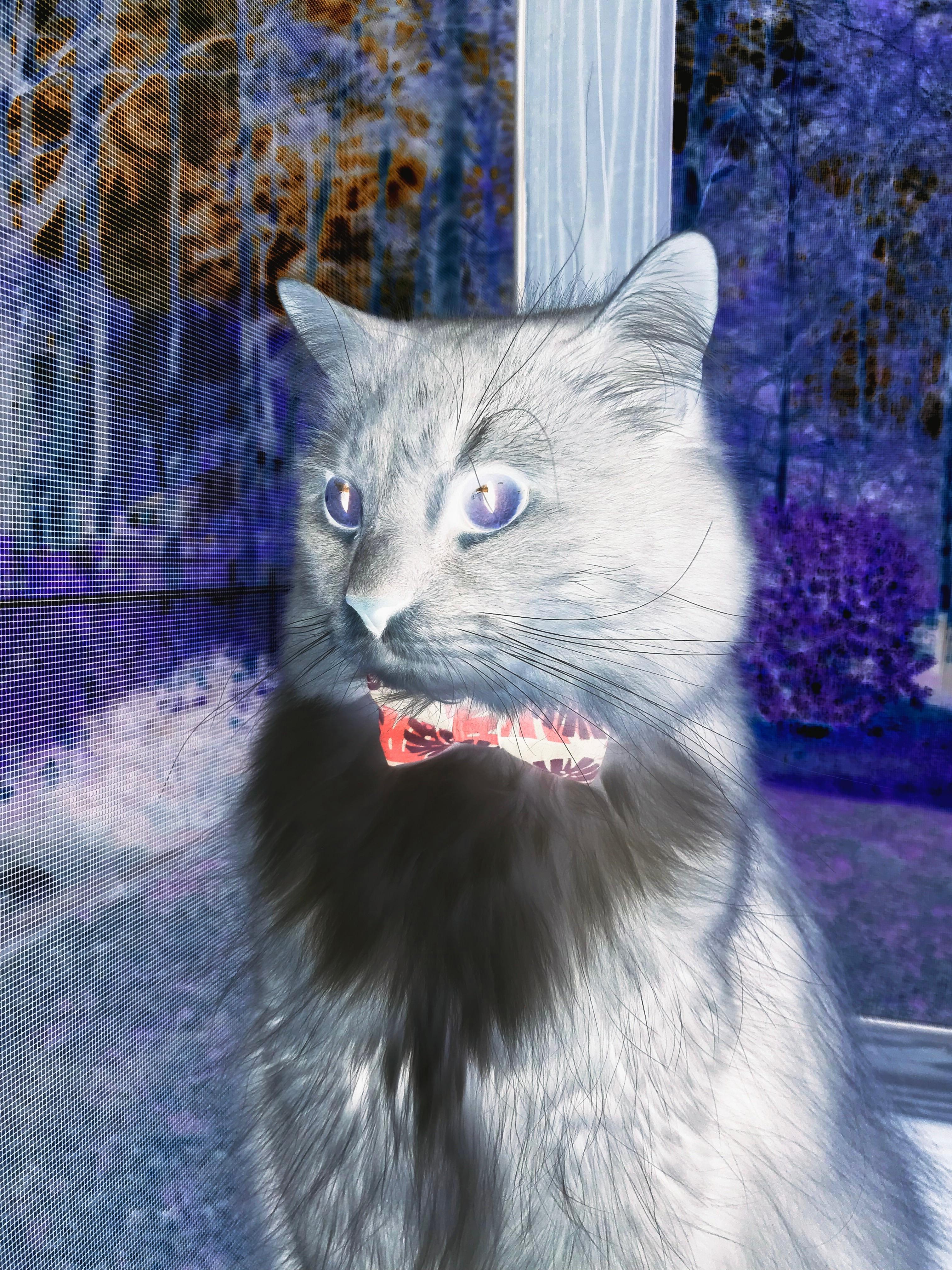 恩比德一人成军，绿衫军众志成城，现代篮球的两种无解